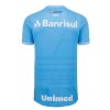 Goedkope Gremio FBPA Third Shirt 2022-23